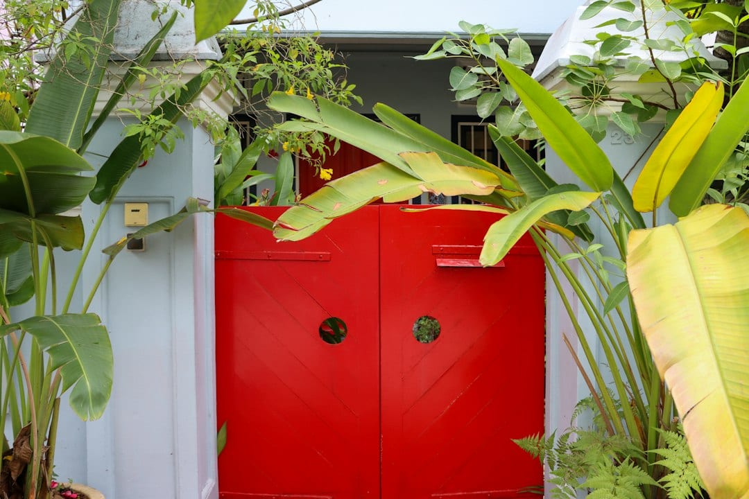 Red entrance door surrounded by lush greenery